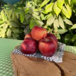 Kırmızı Yayla Elması 1Kg