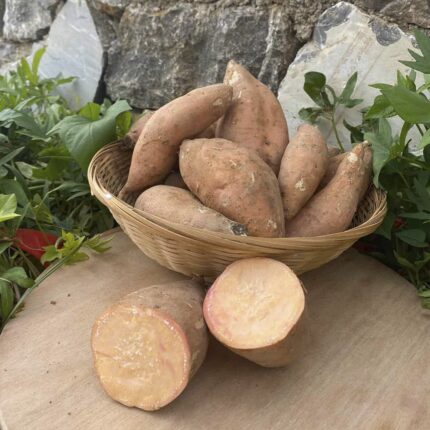 Turuncu Tatlı Patates 1 Kg