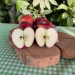 Kırmızı Yayla Elması 1Kg - Görsel 2