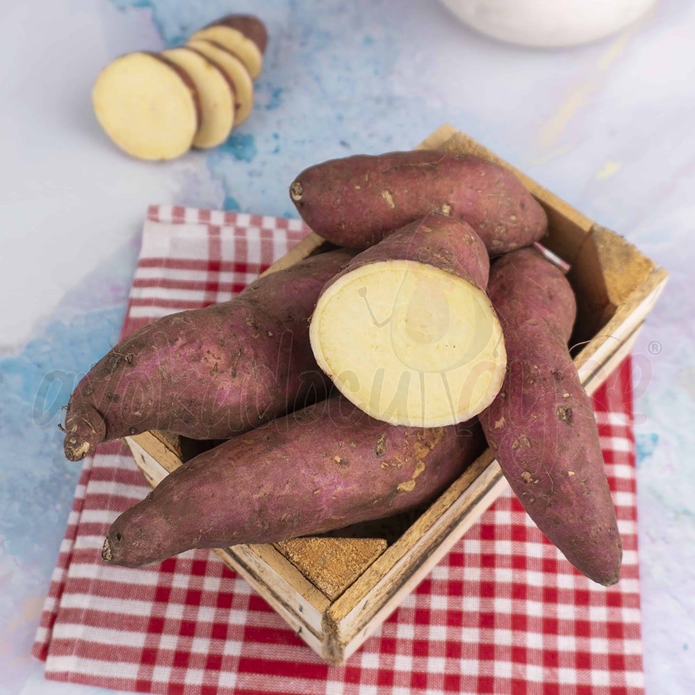 01M0HDZC40ZQXYPW4DVSQ0185K.jpg Kırmızı Tatlı Patates 1 Kg - Görsel 1