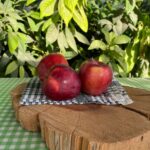 Kırmızı Yayla Elması 1Kg - Görsel 3