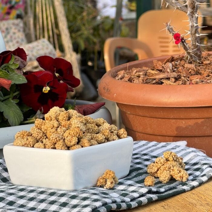 Kurutulmuş Beyaz Dut 500 Gram - Görsel 2