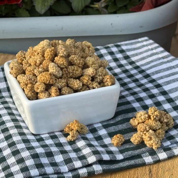 Kurutulmuş Beyaz Dut 500 Gram - Görsel 4