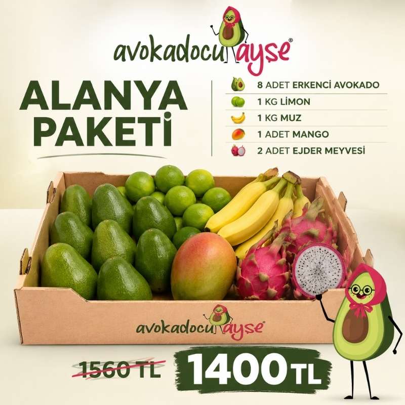 01M0HE1BKGTCPJRP5QKEVS7A1K.jpg Alanya Paketi - Görsel 1