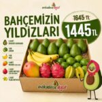 Bahçemizin Yıldızları