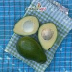Büyük Boy Erkenci (Clifton) Avokado - Görsel 2