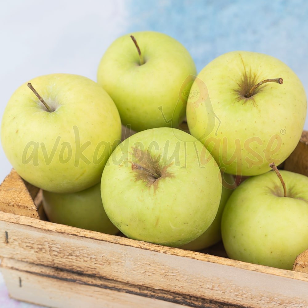 01M47YAPWZ1HE5F8WWWDSKYBE6.jpg Yeşil Yayla Elması 1 Kg - Görsel 1