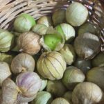 Tomatillo 100 Gram