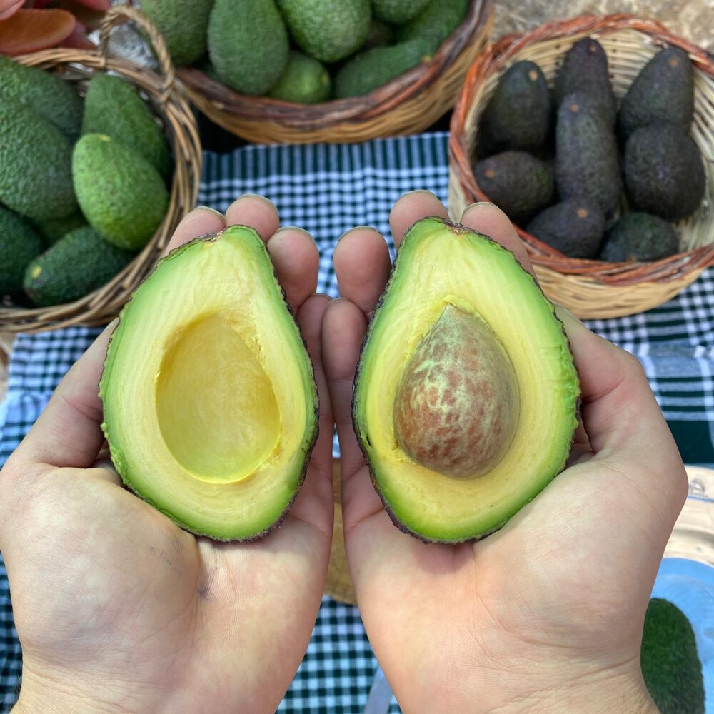 Orta Boy Hass Avokado 150-200 Gram - Görsel 3