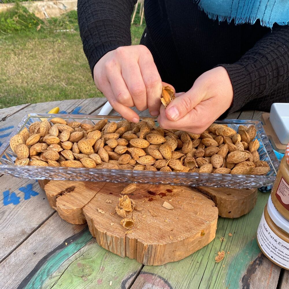 El Bademi 500 gram - Görsel 5