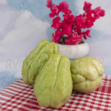 Rodos Kabağı 1Kg (Dikenli Kabak)