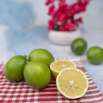 Mayer Limon 1 Kg
