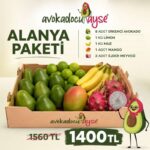 Alanya Paketi