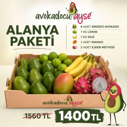 Alanya Paketi