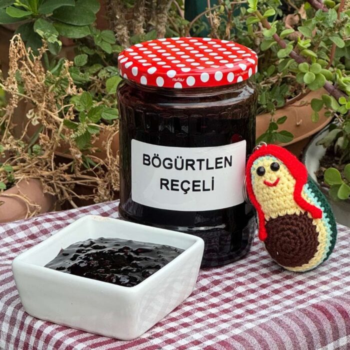 Böğürtlen Reçeli 580cc Böğürtlen Reçeli 580cc - Görsel 1