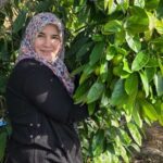 Çikolata Meyvesi (Black sapote fruit) 250 Gram - Görsel 6