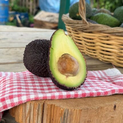 Büyük Boy Hass Avokado 200 Gram ve üzeri