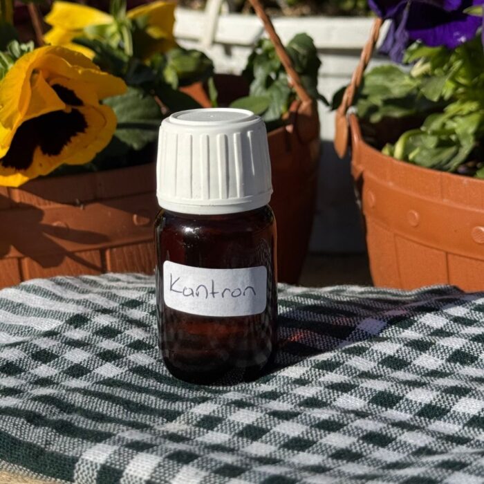 Kantron Yağı Avokadocu Ayşe Doğal Kantaron Yağı 20cc - Görsel 1