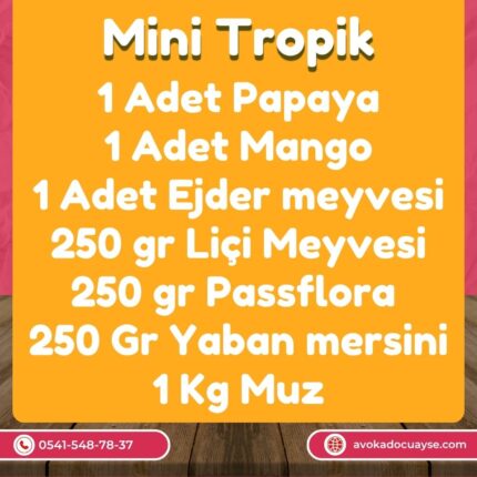 Mini Tropik Paket