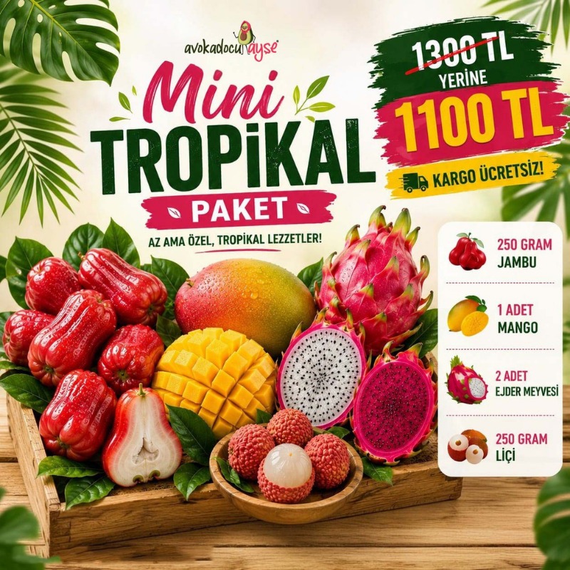 Mini Tropikal paket Mini Tropikal Paket - Görsel 1