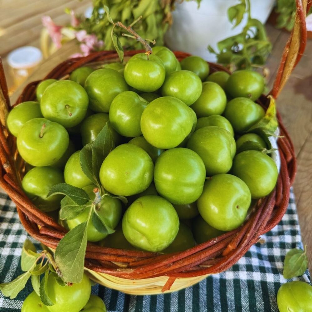 Yeşil Erik 500 Gram - Görsel 2