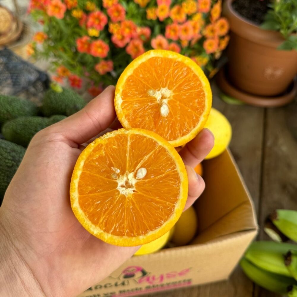 Valancia Portakalı 1 Kg - Görsel 2