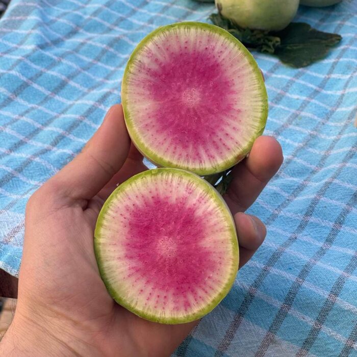 Vezir Turpu 1 kg - Görsel 2