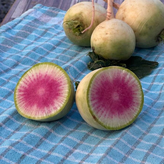 Vezir Turpu (beyaz pancar) Avokadoccu Ayşe (4) Vezir Turpu 1 kg - Görsel 1