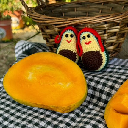 1 Adet Yerli Mango