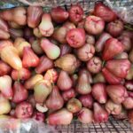 Jambo (Mum Elması) 300 Gram - Görsel 2