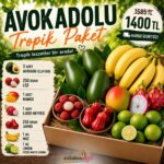 Avokadolu Tropik Paket